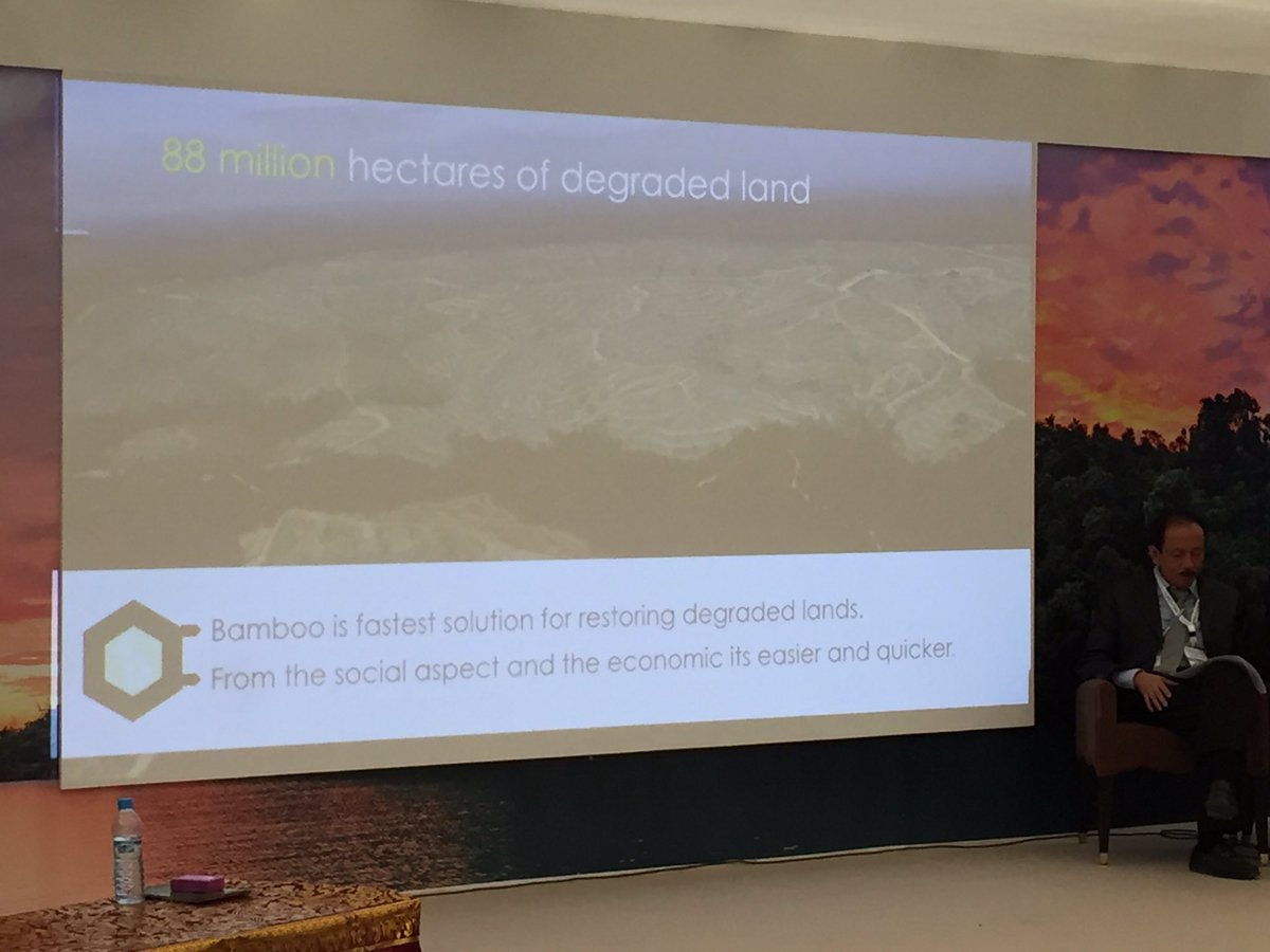 IndonesiaCOP25's tweet photo. Bamboo is the fastest solution for restoring degraded lands, learn more at our Pav. Cc: @COP22 @KemenLHK @COP22_NEWS #INACOP22 #INAinAction https://t.co/joa5ZaDO7h