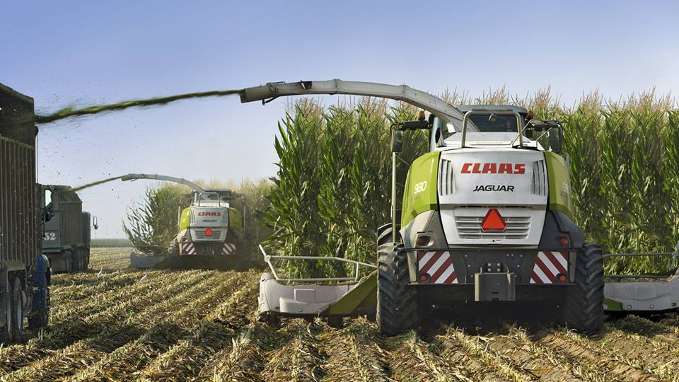 farminghub's tweet photo. Maize is all in, which has been the top varieties this year?
#maize2016 #farming #agriculture https://t.co/x8Ljyae2rq