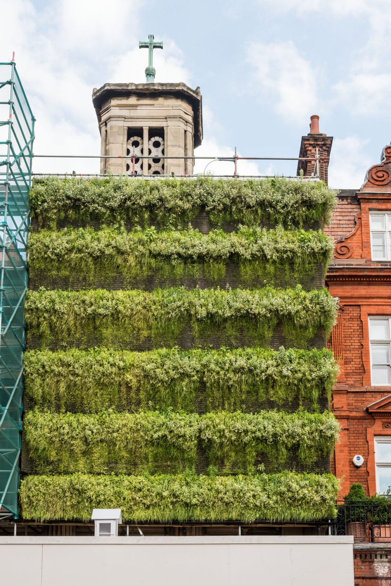 verticalgrowers's tweet image. Turning the unsightly structure of scaffolding into a eco-friendly facade! Great idea @ArupGroup