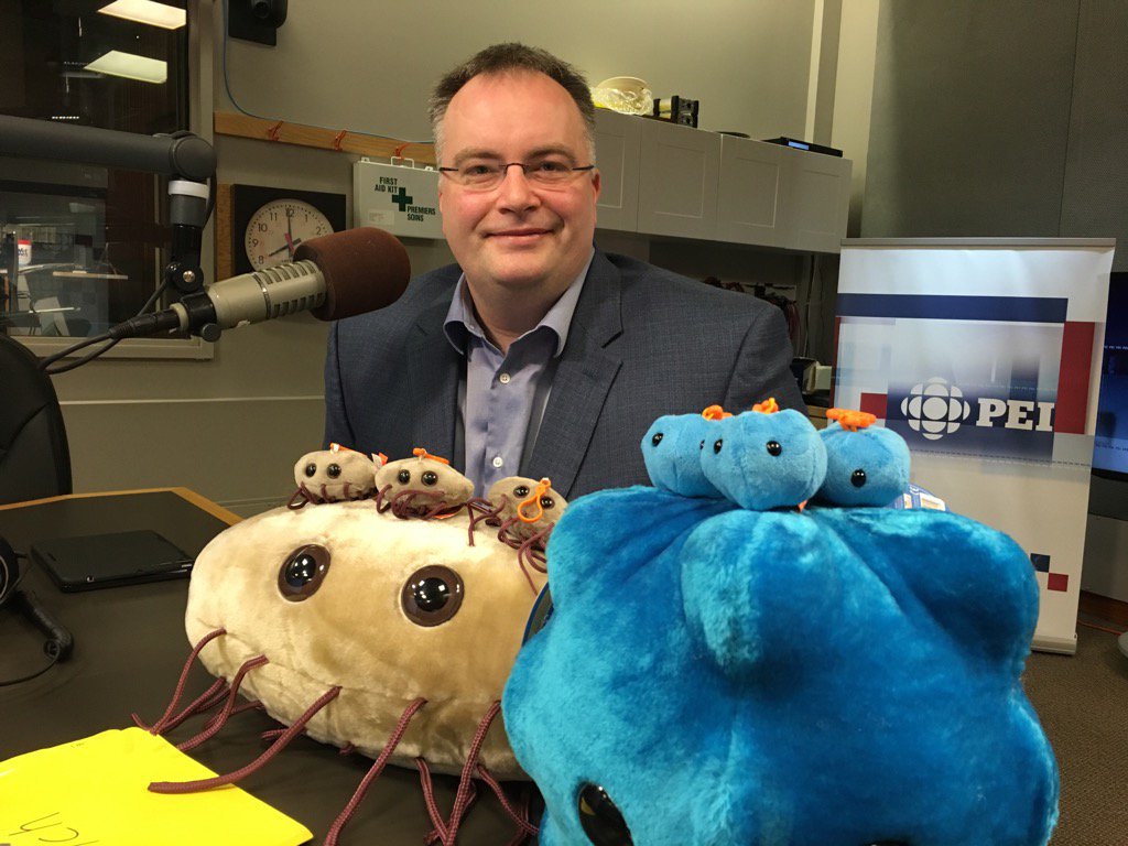 Matt Rainnie tweet media