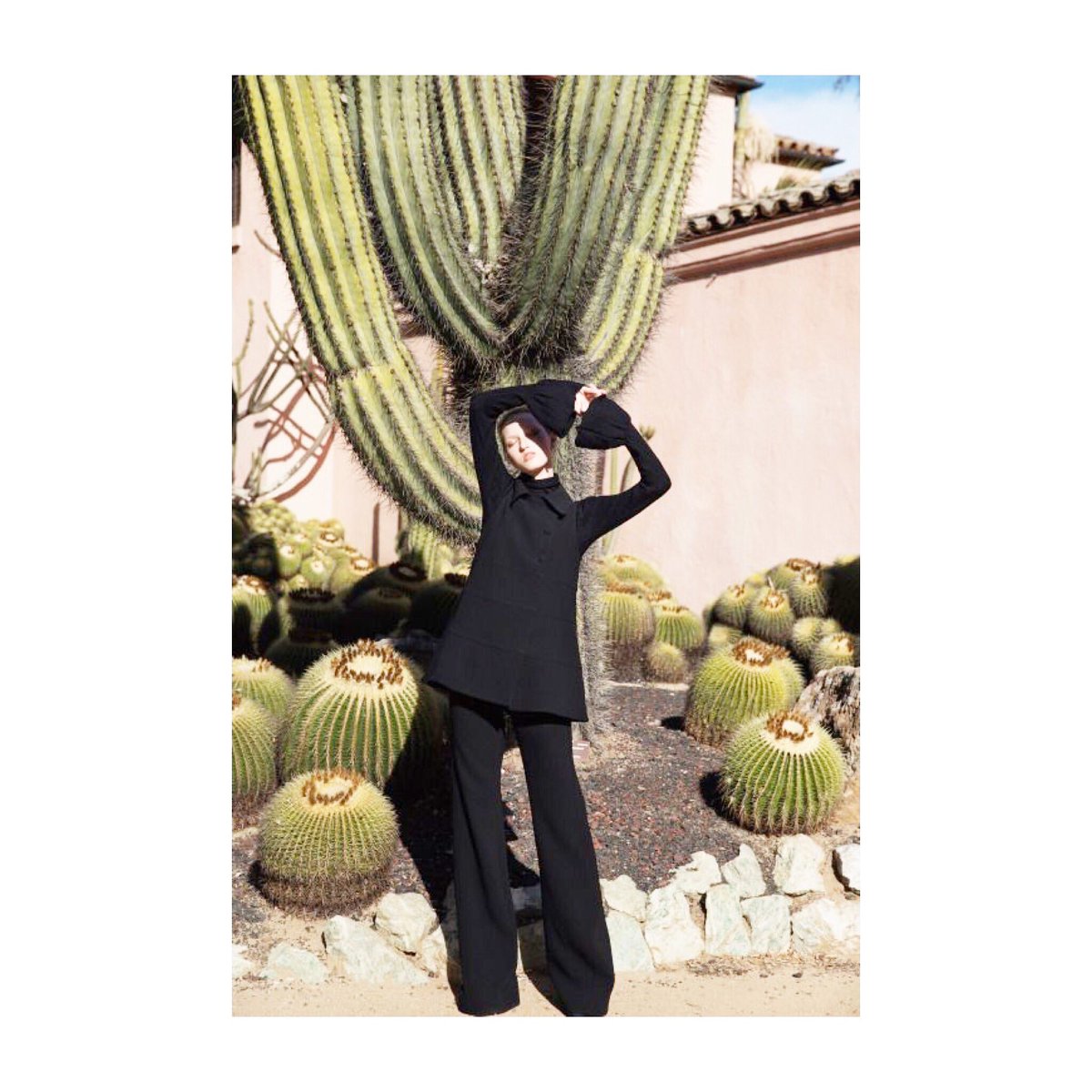 MCBeautyDrawer's tweet photo. Cactus appreciation 🌵 #PowderPlant https://t.co/8Q6h9o2sBA