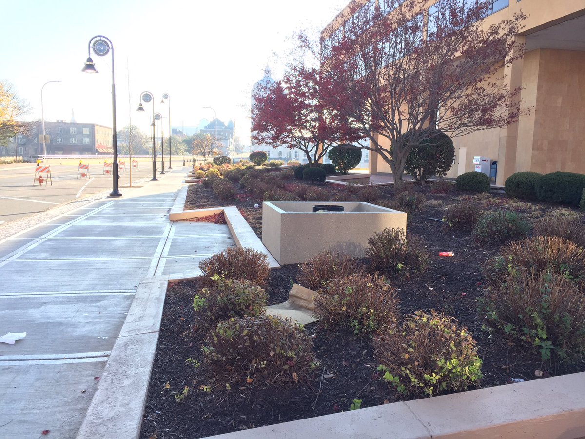 gorockford's tweet photo. Here is the future home of our beloved tree! #strolltree2016 #strollonstate #welcomehome https://t.co/fLtDmXjvio