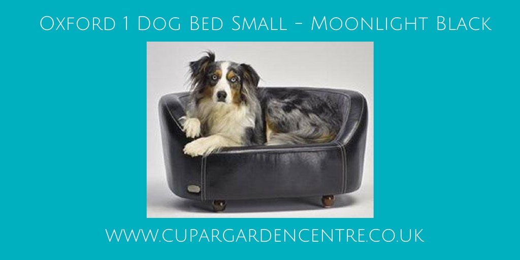 CuparGC's tweet photo. Thinking #christmas for the #dog? Make sleeping more comfortable for them with the Oxford 1 Dog Bed. 16% off. #pets https://t.co/LTHWPuZWWj https://t.co/ikk9hSgarp