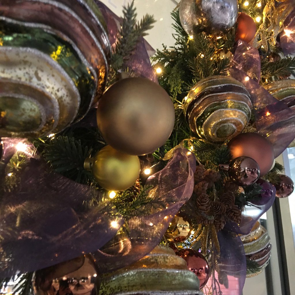 豪華なクリスマスツリーを発見しました。
皆さんの身の回りでも探してみてくださいね。

ツリーと、黒いサンタ。

「目が覚めた? 二日酔い大丈夫かな」

#ブラックナイトパレード 