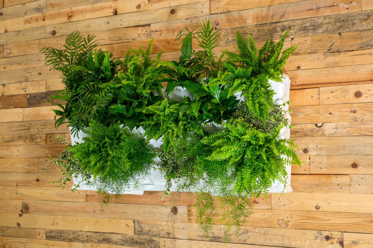 3 verschillende #plantenwand designs gemaakt met slechts 2 #Minigarden #Vertical starter sets. Welke design kies jij? #doehetzelf #greenwall