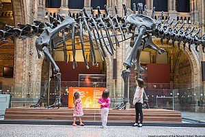 DioceseNorwich's tweet photo. .@Nrw_Cathedral is 1 of 8 venues to host ‘Dippy the Diplodocus’ as part of a special UK-wide tour https://t.co/wB9fr99egs #DippyOnTour https://t.co/u4yGqH6Nhj