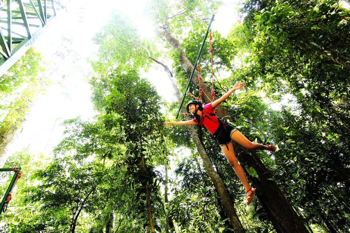 PhilTourismME's tweet photo. Tree Top Adventure is a must experience activity in Northern Luzon, Philippines.
#philippines #itsmorefuninthephilippines #adventure #luzon https://t.co/bfPsXgUWfE