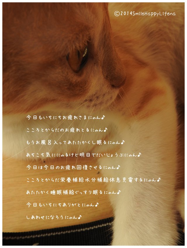 Twitterで画像を見る