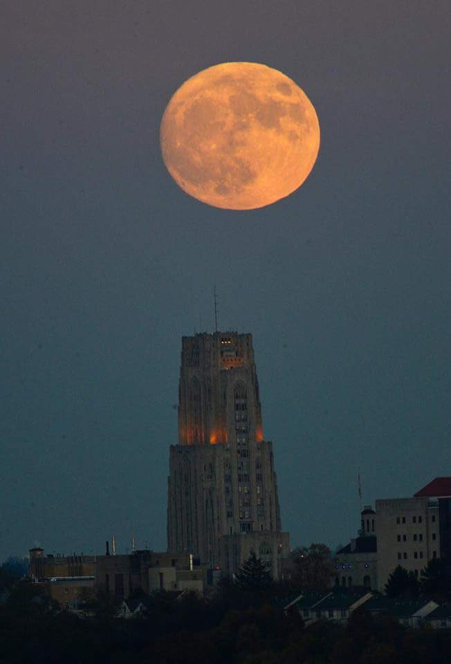 PASN_1787's tweet photo. Cathy and the super moon. That should be a title of a children's book. ๐๐ #H2P #InstaPitt #PittNow https://t.co/yAgQyjURcs