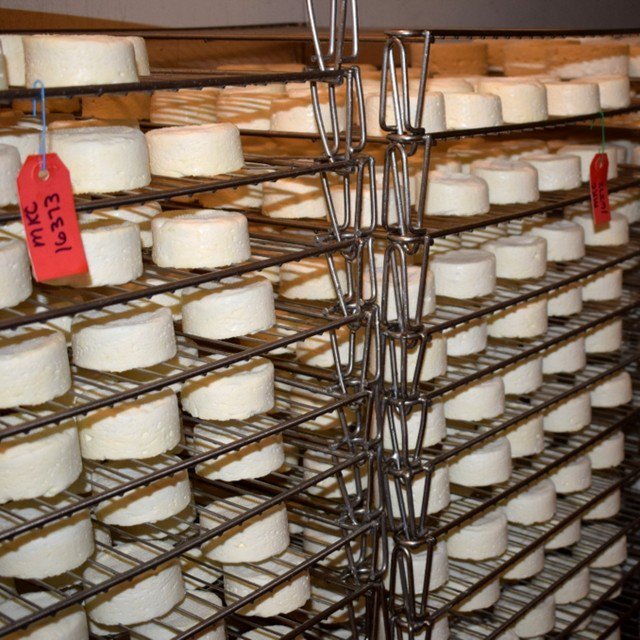 Mini Kinderhook Creeks, aging. #occ #oldchathamcreamery ift.tt/2gc6woR