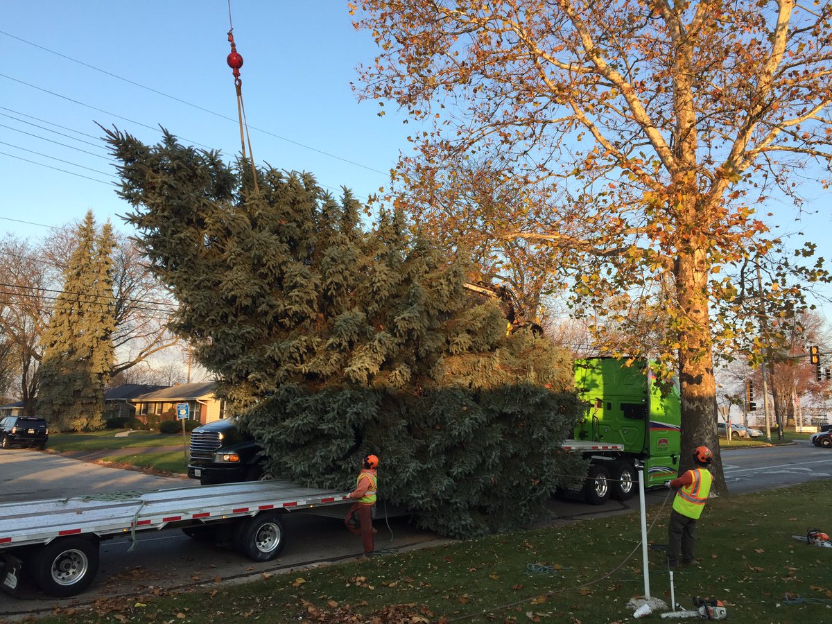 gorockford's tweet photo. The sun is shining bright over our city's spectacular tree as it gets set on the truck #strolltree2016 #strollonstate βοΈπ² https://t.co/gAwlWoFeYy