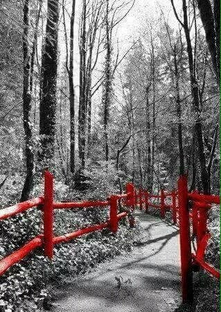 자신이
잘 해 낼거라는 걸
끝까지 믿어라

당신이 당신을 믿고 있으면
언젠가는 해 낼수 있게된다

자신의 꿈이
이루어 질거라는 걸
끝까지 믿고 노력하라

그러면
당신의 꿈도
결국에는 당신을 찾아오게된다