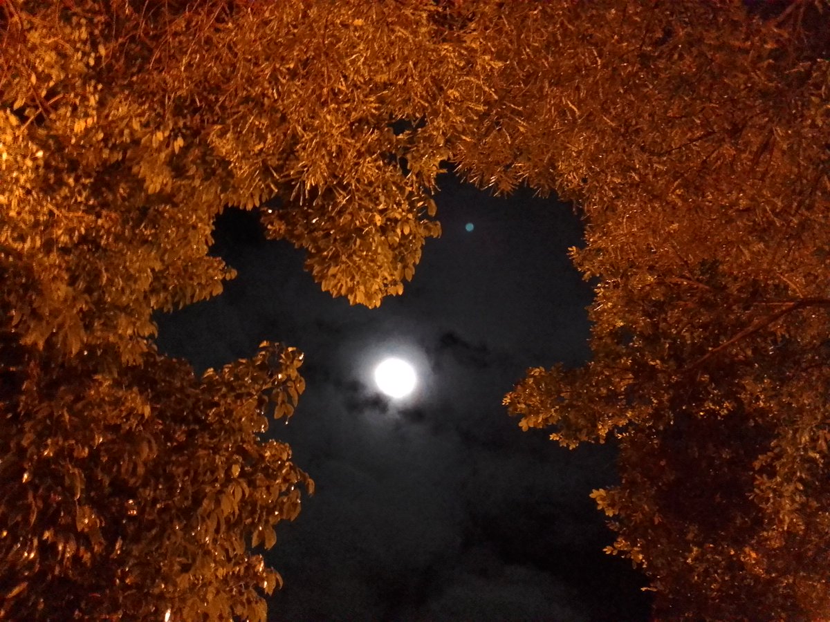 Lua de ontem