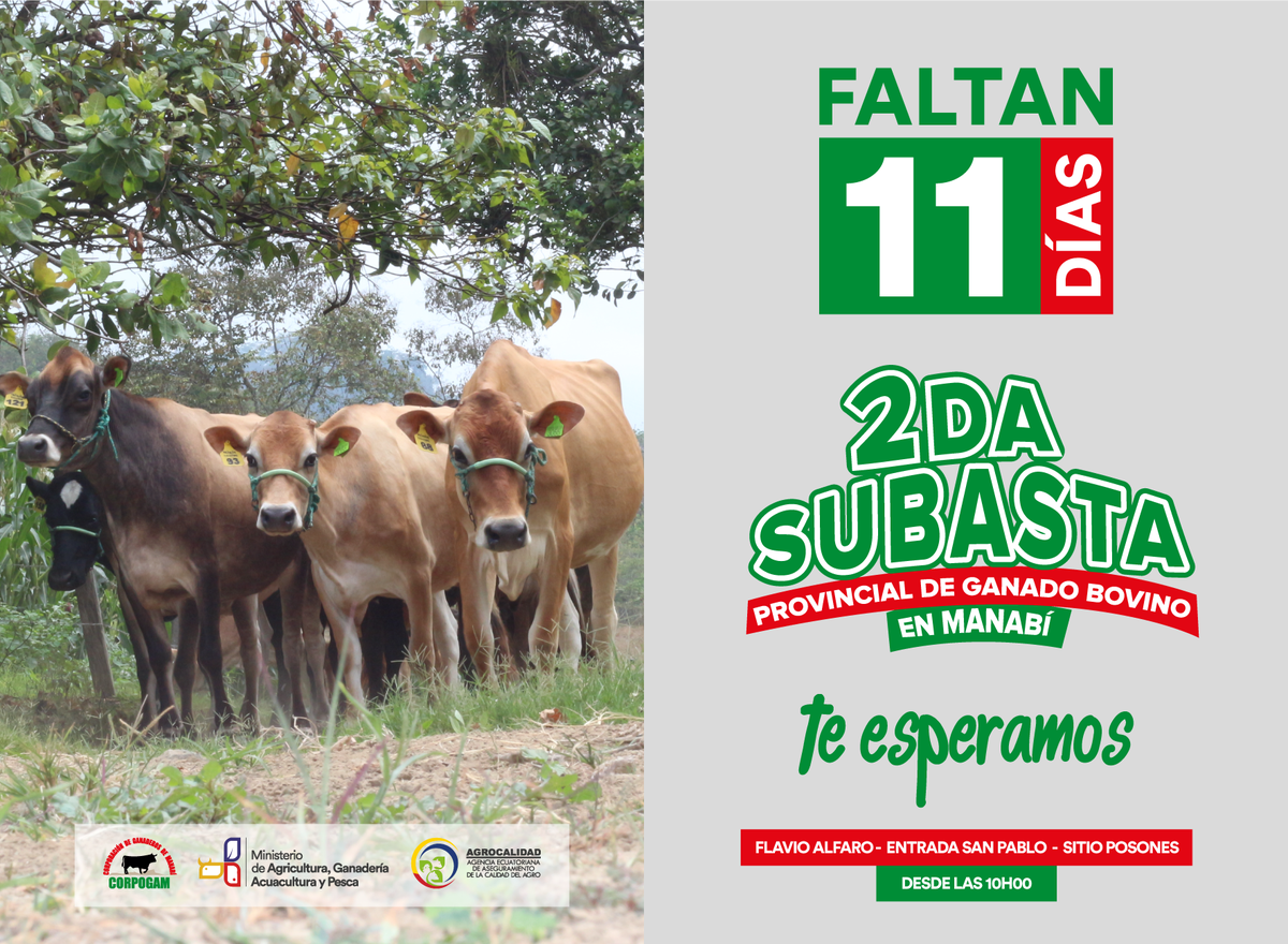 Corpogam1's tweet photo. @AgriculturaEc @AgrocalidadEC @Margotholmedo @ppsesa @GADManabi @MashiRafael @JorgeGlas @ricardozampais @GoberManabi @eldiarioec @GadChone https://t.co/vKAKD6lI7U