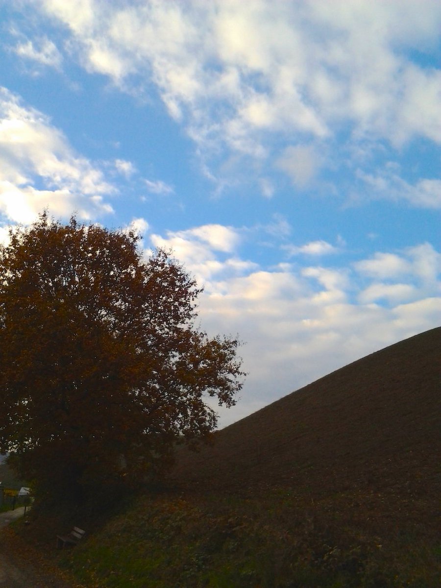 o_franco_aleman's tweet photo. Schöner Stunden matter Schimmer
Blieb zurück. Doch du bist fort.

Mascha Kaléko

#poesie #lyrik #fotografie https://t.co/CkNQ0uTkD8