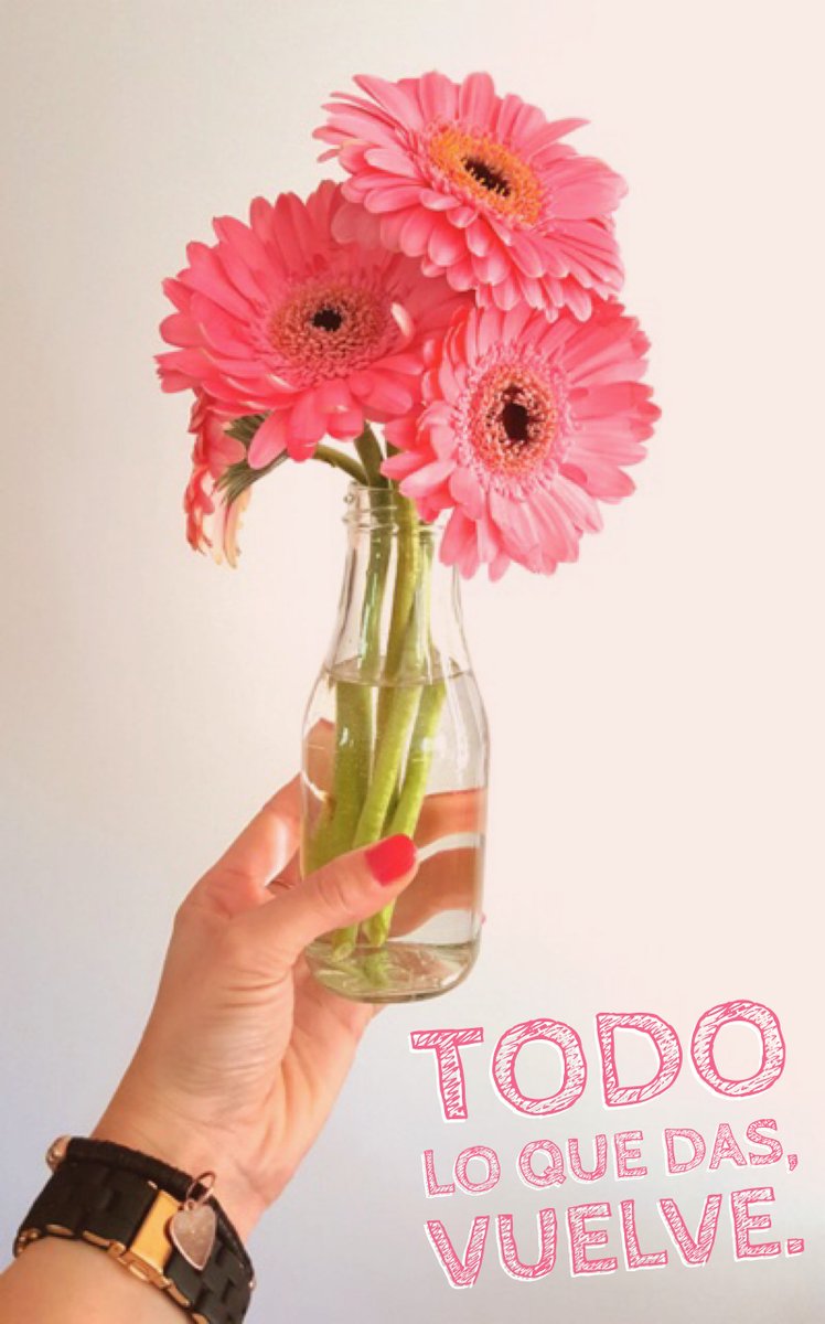 GianellaNeyra_'s tweet image. Importante mensaje. 
Lo dejaré por aquí.
#BuenMartes