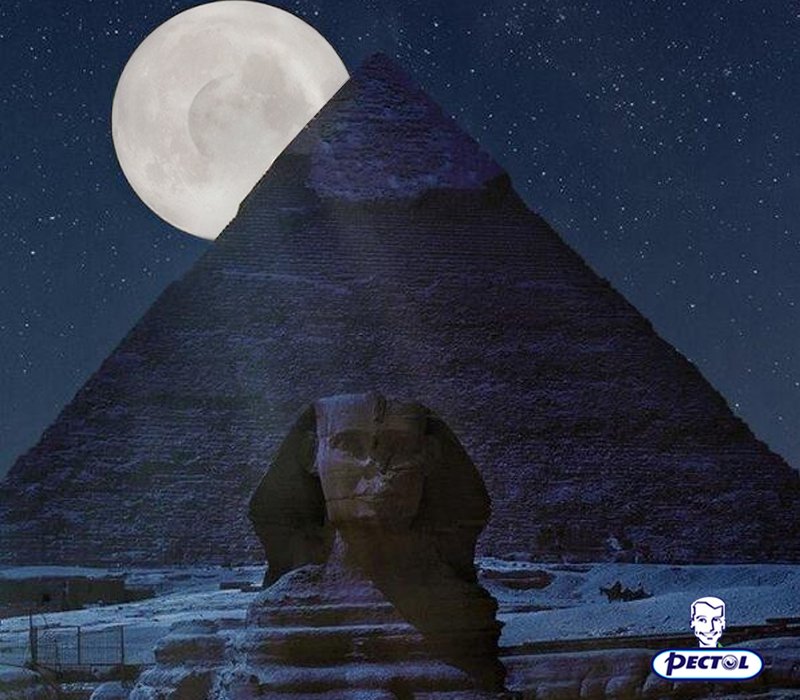 PectolMENA's tweet photo. ظاهرة بتتكرر كل شتاء !!! احمي اسرتك من نزلات برد الشتاء ;)
#القمر_العملاق #SuperMoon https://t.co/jZHEeZohED