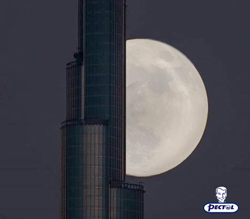 PectolMENA's tweet photo. ظاهرة بتتكرر كل شتاء !!! احمي اسرتك من نزلات برد الشتاء ;)
#القمر_العملاق #SuperMoon https://t.co/jZHEeZohED