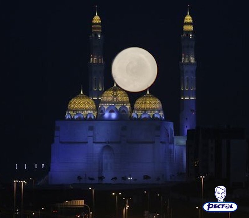 PectolMENA's tweet photo. ظاهرة بتتكرر كل شتاء !!! احمي اسرتك من نزلات برد الشتاء ;)
#القمر_العملاق #SuperMoon https://t.co/jZHEeZohED