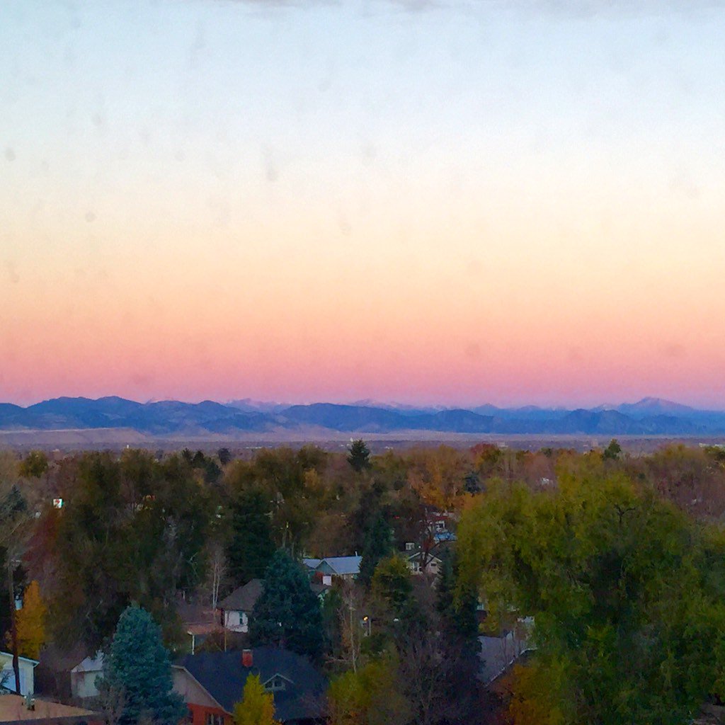 ✨Alex Vieth✨ tweet media