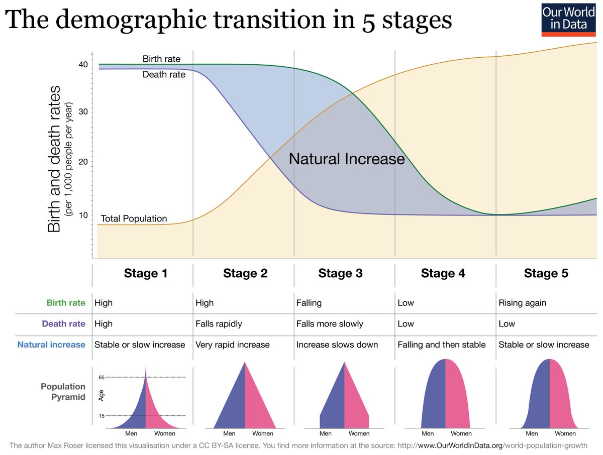 Demographic transition model showing the five stages with birth rates, death rates, and total population