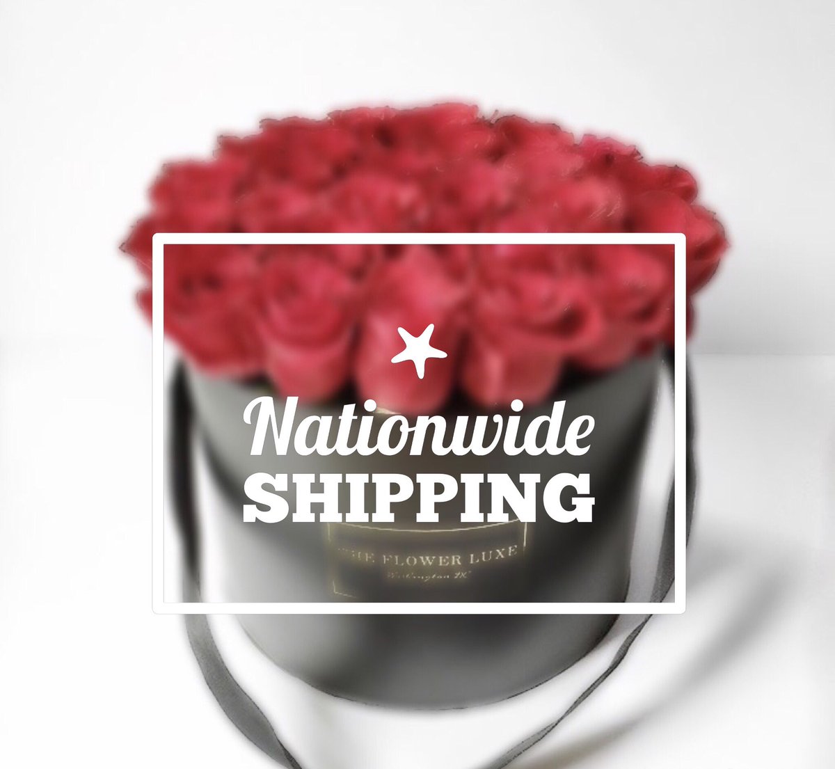 The Flower Luxe (Theflowerluxe) Twitter