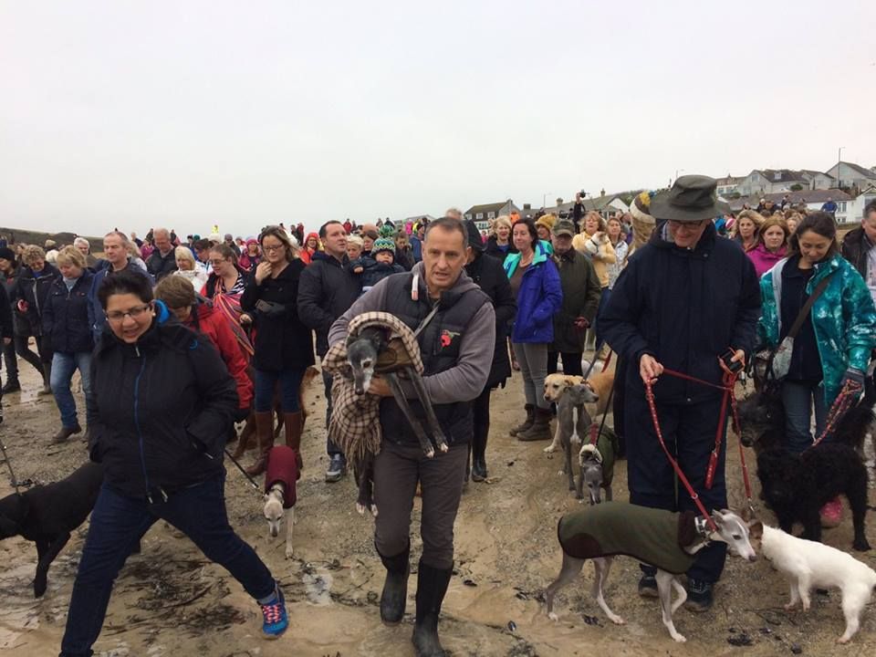 dodo's tweet photo. Walnut went on one final walk on the beach, surrounded by hundreds of people ❤ https://t.co/1aan7x5KYm https://t.co/RPhrbRPsJy