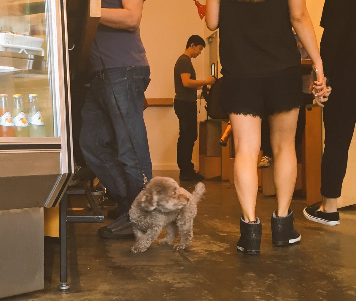 Dogs &amp; Babies <a href="/ggetLA/">Go Get Em Tiger</a> // I could have their Business &amp; Pleasure everyday // Wygal, donde?