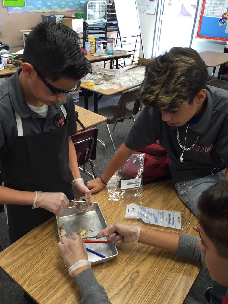 Dr. Borgen tweet media