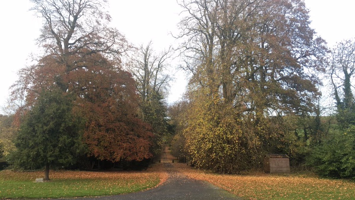 Why did Humpty Dumpty love Autumn?

He had a great fall......