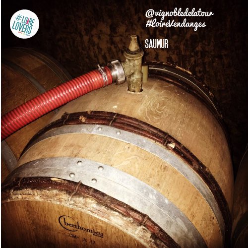 vinsdeloire's tweet photo. C'est encore l'heure de l'entonnage comme au @vignobledelatour
#saumur #cabernetfranc #loirevendanges #loirelovers #vin #vendanges2016 https://t.co/SnNGJ5GzrW