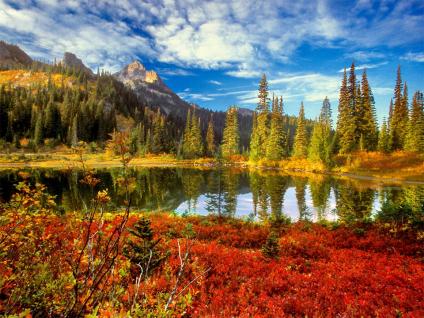 Want to know how #water works? This primer explains #hydrology and the hydrologic cycle. 1.usa.gov/1IEwgjT