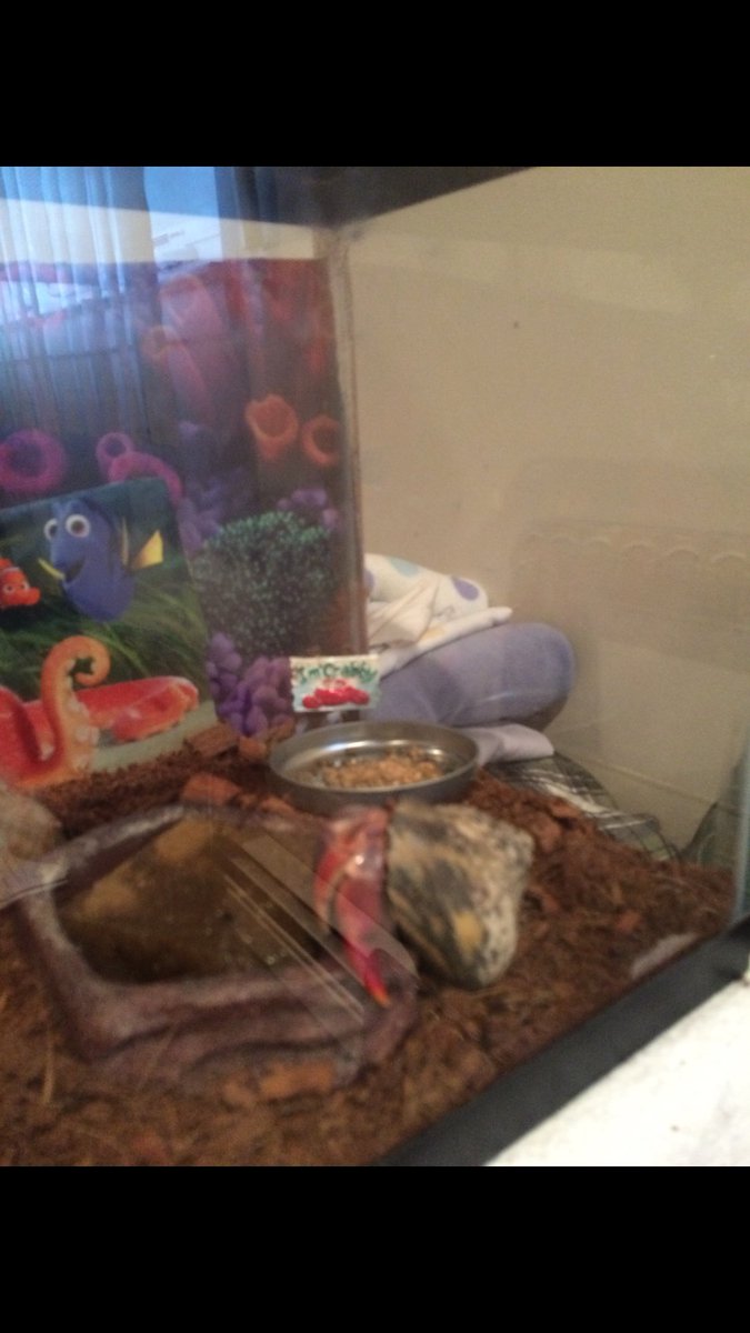 saraa_roseeee's tweet photo. see you Tuesday little guy! glad mom hasn't killed u yet! https://t.co/xEggpPunJM
