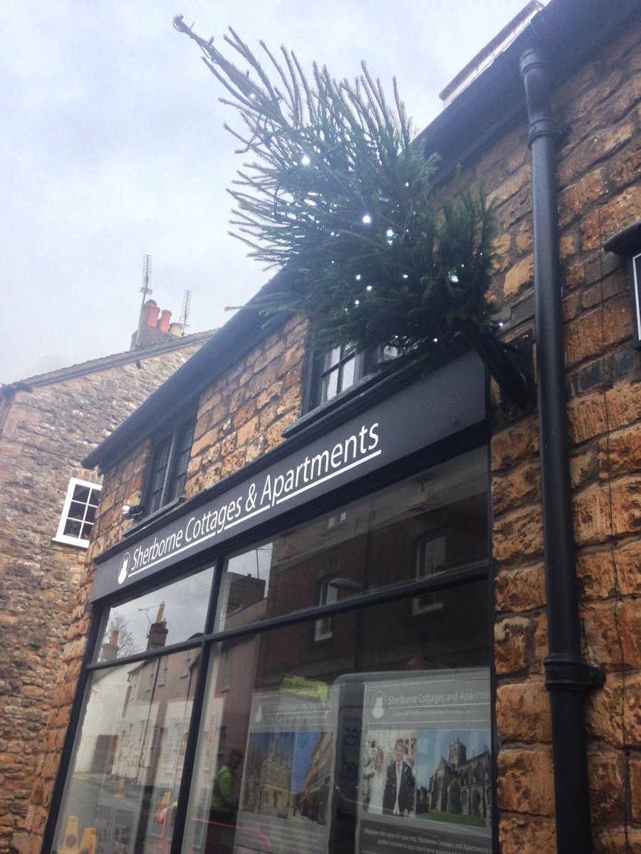 Sherborne Cottages tweet media