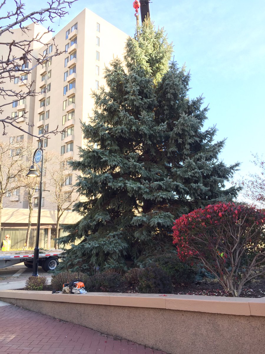 gorockford's tweet photo. Big thanks to our friends at #RLLeek #TreeCare #Stenstrom and the #RockfordIL Police for all their help! #strolltree2016 #strollonstate https://t.co/X4jiA0hDTv