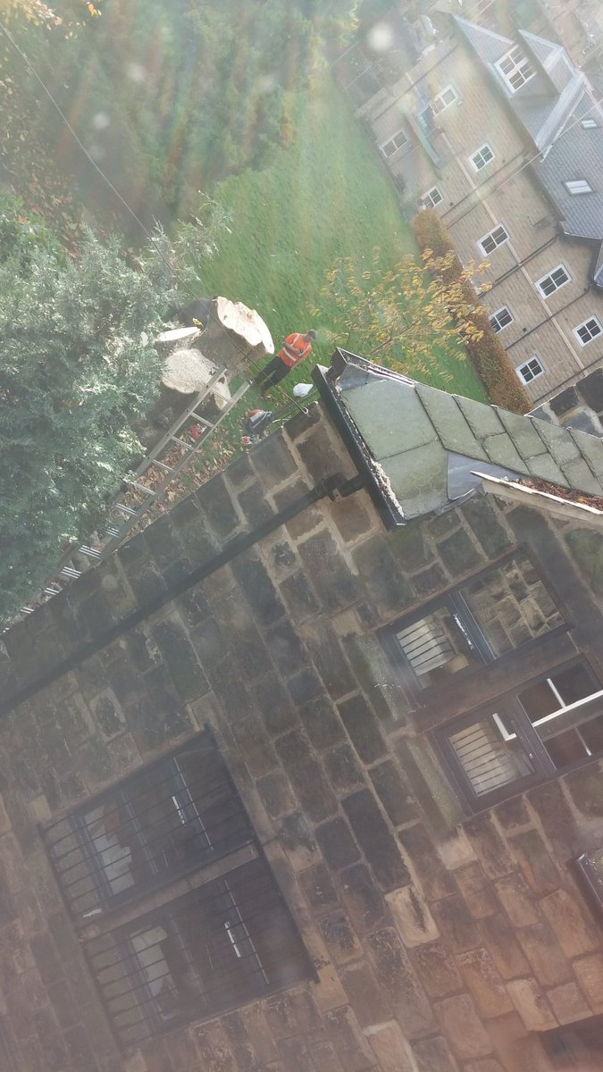 HelSingleton's tweet image. Distracted by lumberjack during third floor meeting at Christchurch #Ilkley #treegone