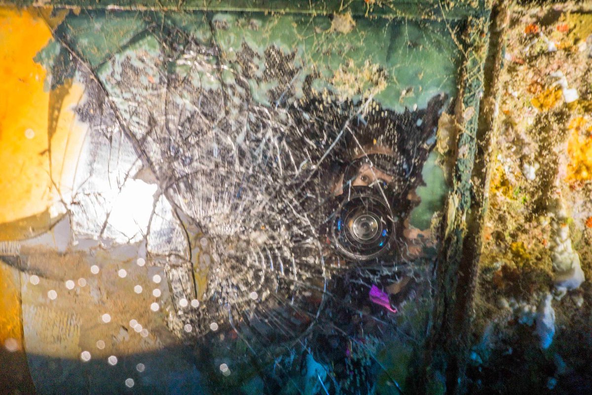 ASportNewmarket's tweet photo. Kittiwake Wreck, Grand Cayman; in the head

https://t.co/krrwvSVahp

#Kittiwake #sunsetdivers #grandcayman #wreckdiving #scubayourbunsoff https://t.co/nLQuFWAzMV