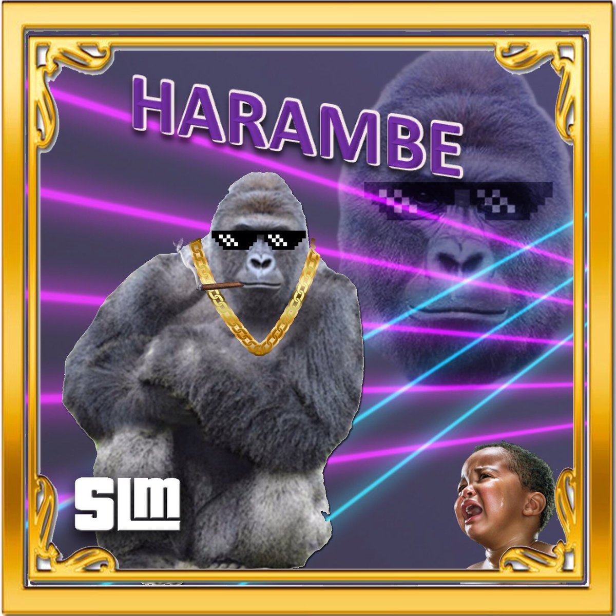 Most inspirational track of a generation.... listen to the legacy of a legend tonight #HARAMBE #SLM