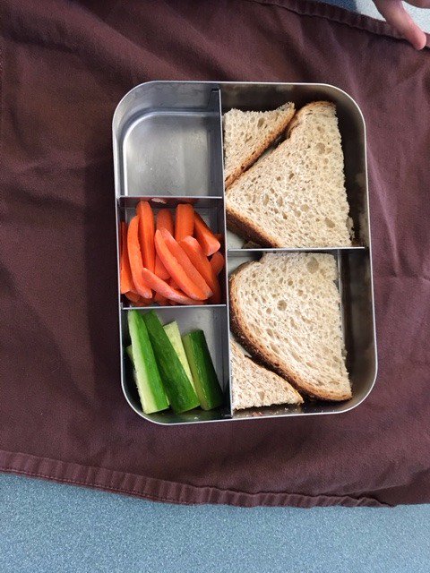 TRASH FREE TUESDAY AT STEWARD!