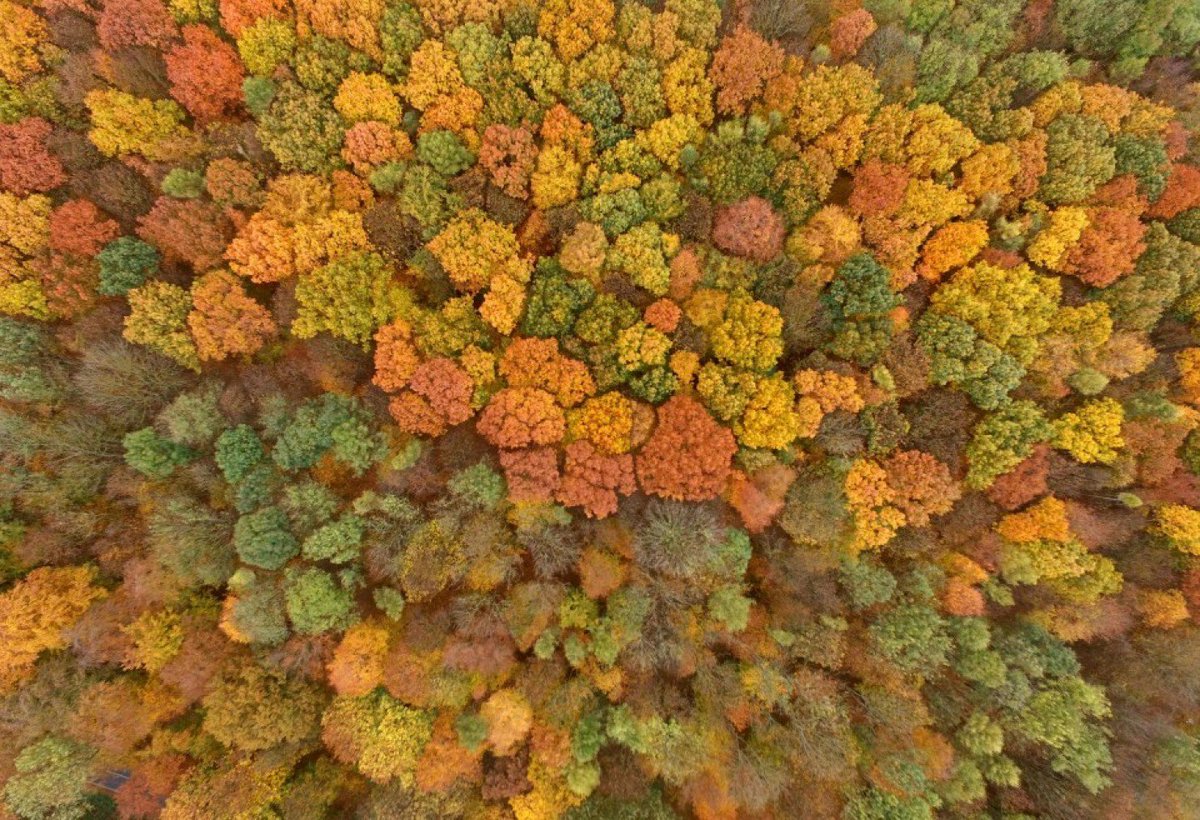 GarudaLighting's tweet image. If you’re looking for good news about climate change, this is about the best there is right now - wapo.st/2fFGuca