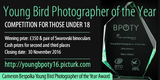 Calling wildlife photographers under 18 - Young Bird Photographer of the Year competition closes 30 Nov tinyurl.com/zxmaq3c <a href="/BirdPOTY/">Bird POTY</a>