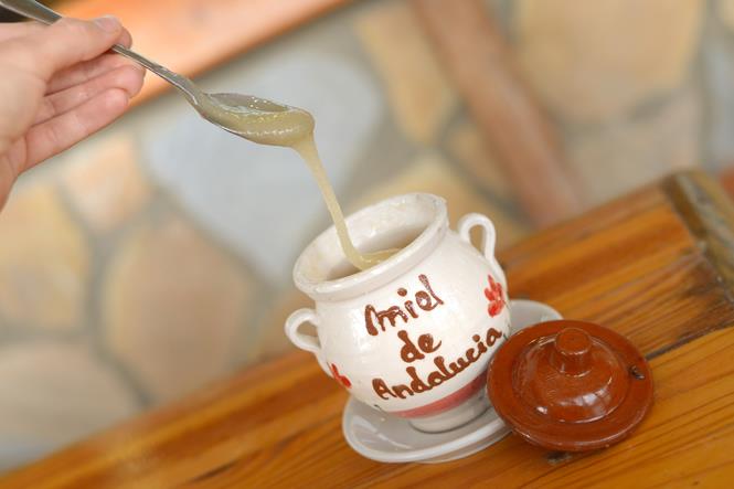 viveandalucia's tweet photo. ¿Quieres vivir una experiencia de lo más dulce? Ven al Rancho Cortesano Museo de la Miel de #Jerez. https://t.co/VfONVko26z cc @CadizTurismo https://t.co/Jr2fkJgt1h