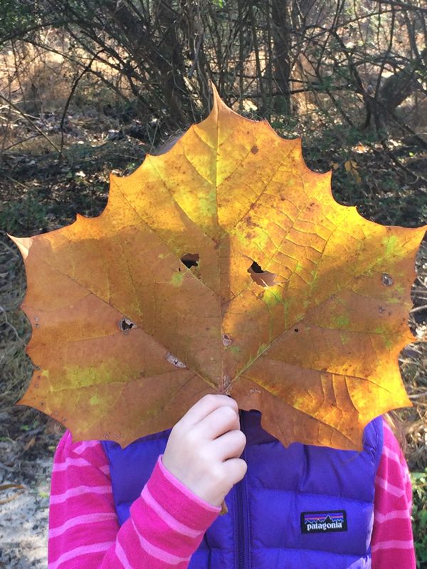 INDYGiveGuide's tweet image. Learn more about @CityofOaksFound. City of Oaks helps get kids outdoors &amp;amp; active. Donate today!  buff.ly/2fat0S9