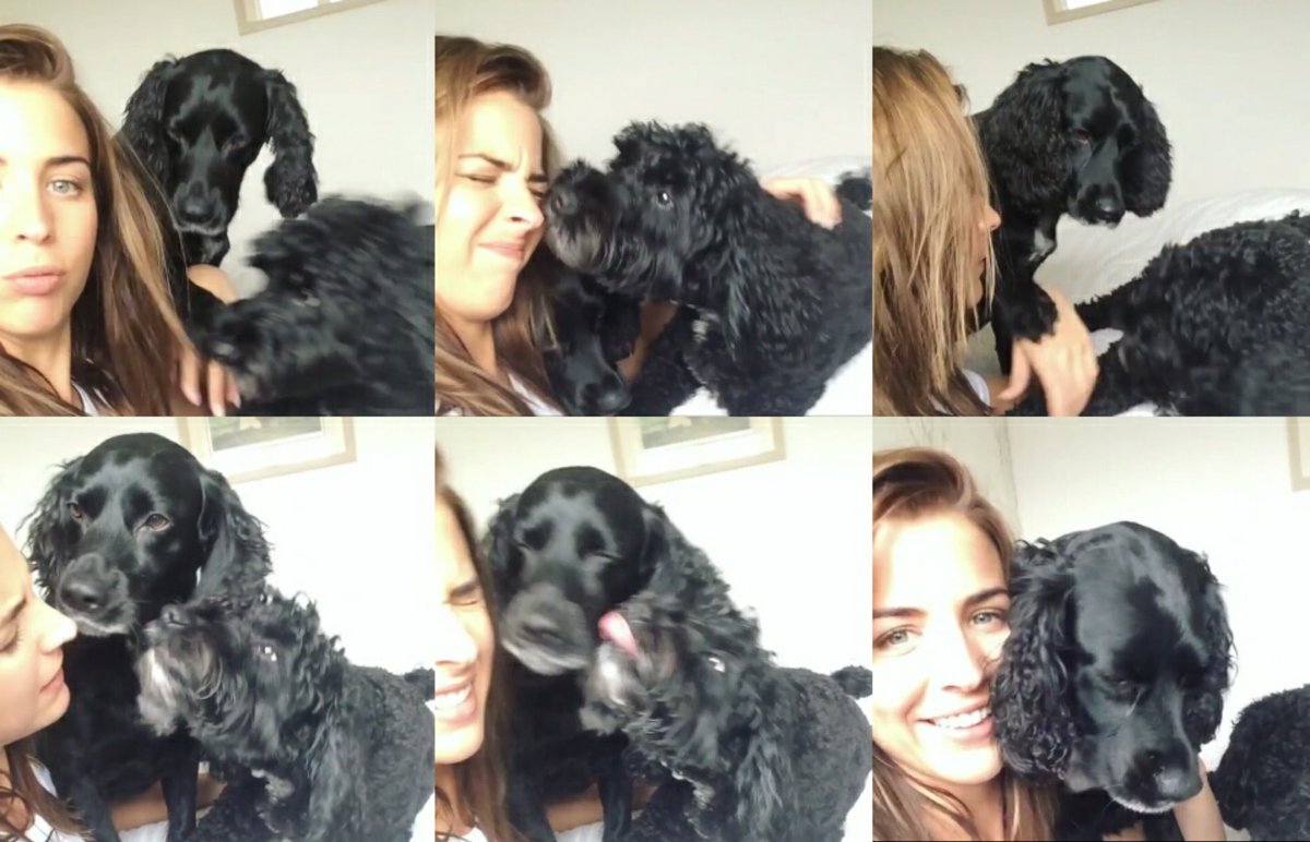 ThankYouGemma's tweet photo. BFF 👱🐶🐶 @MissGAtkinson https://t.co/bum3rk6gcu
