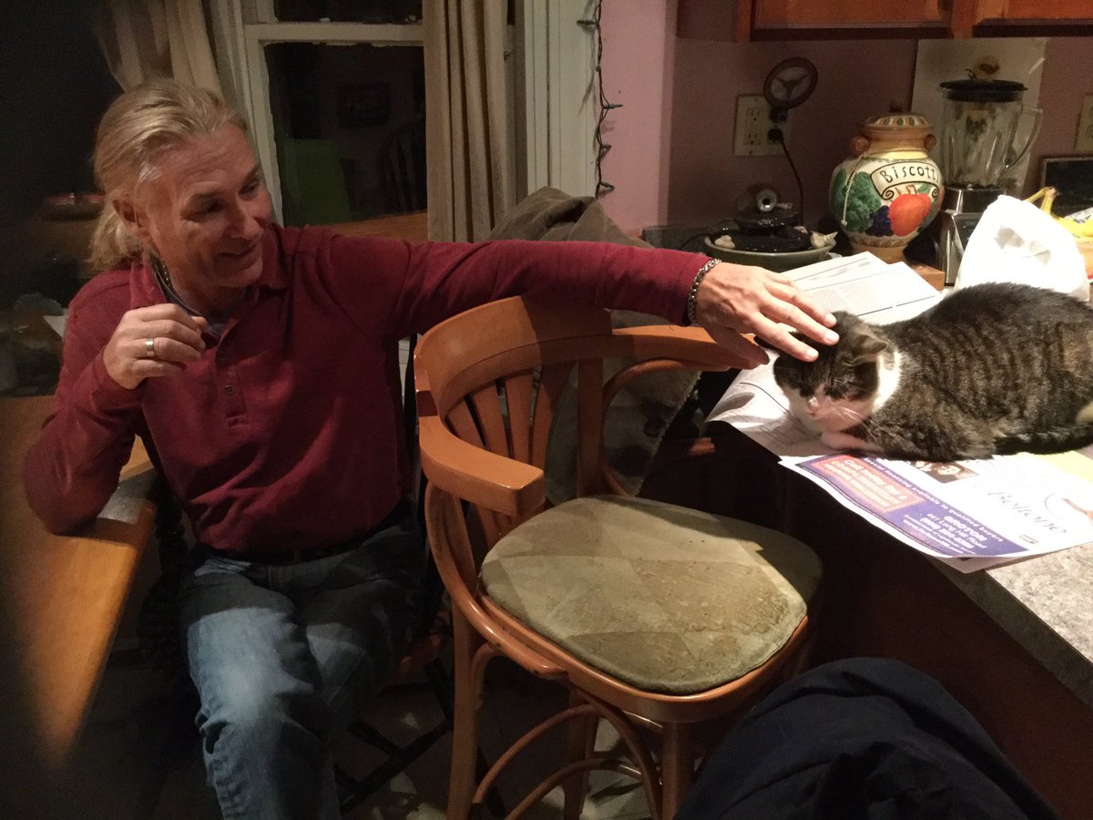 ToneShifters's tweet photo. Practice is always productive. #workinghard #CatsOfTwitter https://t.co/GWqsIw5lf2