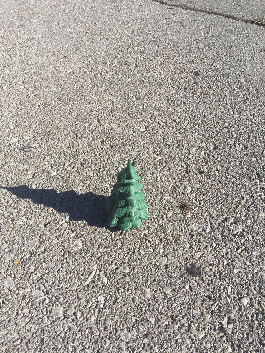 retailbossdad's tweet photo. So this was in the middle of my parking lot... we don't sell these...#lonelylittlechristmastree https://t.co/4IJ4IFdZdh