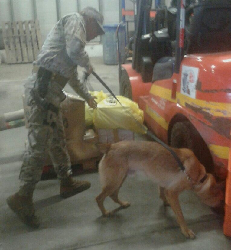 Seguimos en verificación e inspección preventiva con el apoyo de la unidad Canina/Muelle Multimodal/Aeronavales 2da. Región/4ta. Zona