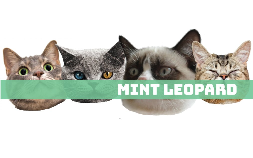 MintLeopardOG's tweet image. cause...why not?