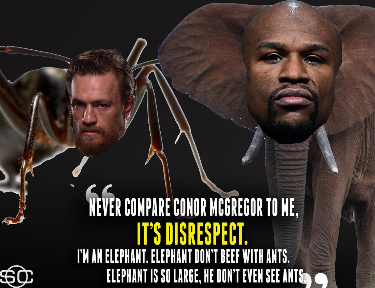 Floyd Mayweather doesn't think Conor McGregor is on his level. (via TMZ Sports)