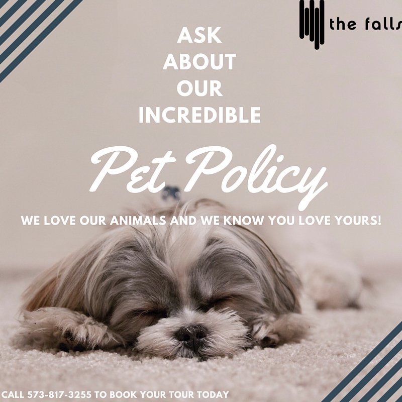 fallsofcolumbia's tweet image. Ask me about my pet policyyy! #Livedifferent #SpendlessliveMore #Mizzou